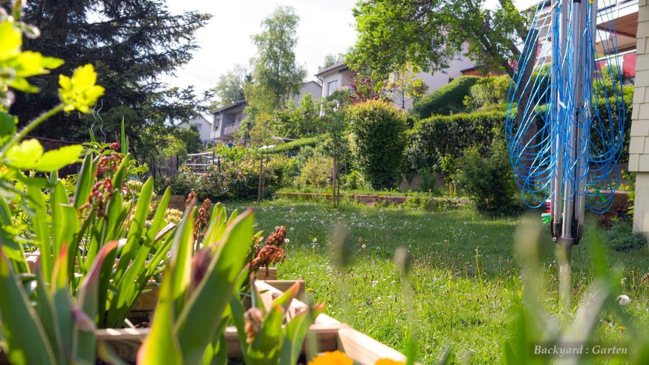 Entire House In Schwarzwald With Mountain View, Private Sauna, Gym, Garden And Terraces Unterkirnach Exteriér fotografie