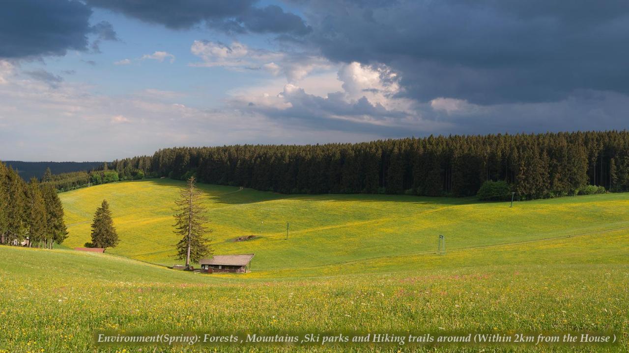 Entire House In Schwarzwald With Mountain View, Private Sauna, Gym, Garden And Terraces Unterkirnach Exteriér fotografie