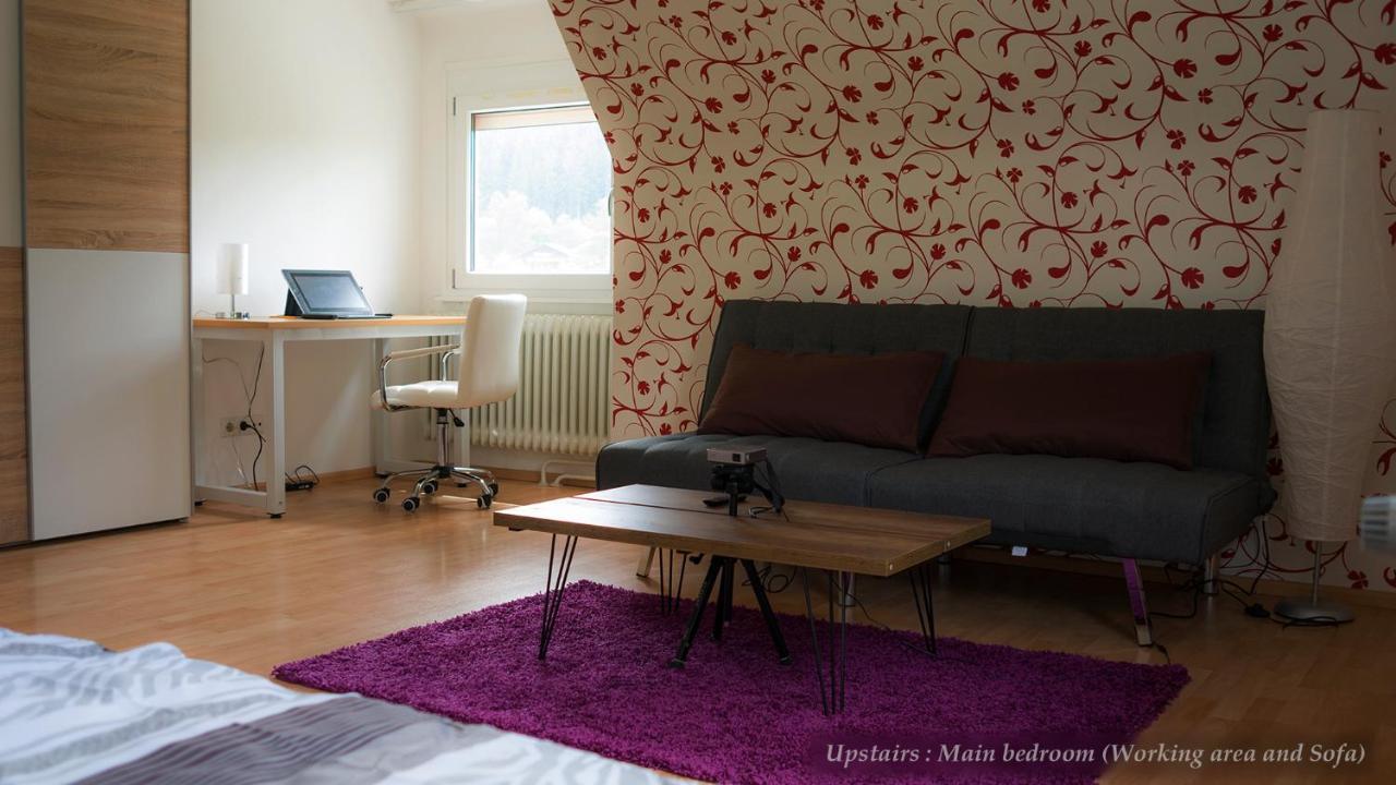 Entire House In Schwarzwald With Mountain View, Private Sauna, Gym, Garden And Terraces Unterkirnach Exteriér fotografie