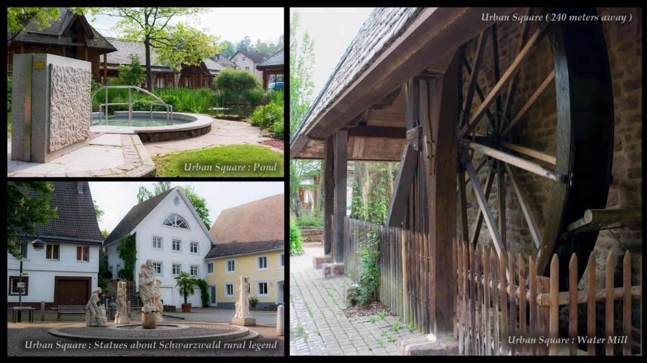 Entire House In Schwarzwald With Mountain View, Private Sauna, Gym, Garden And Terraces Unterkirnach Exteriér fotografie