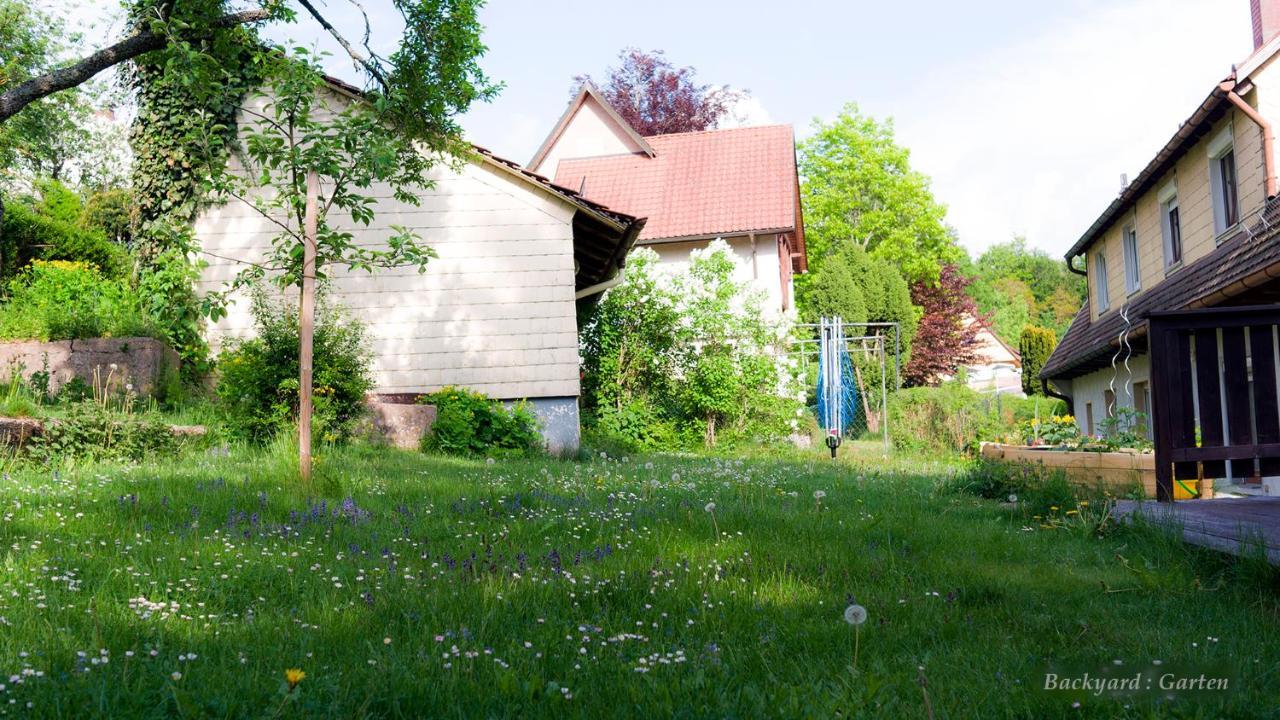 Entire House In Schwarzwald With Mountain View, Private Sauna, Gym, Garden And Terraces Unterkirnach Exteriér fotografie